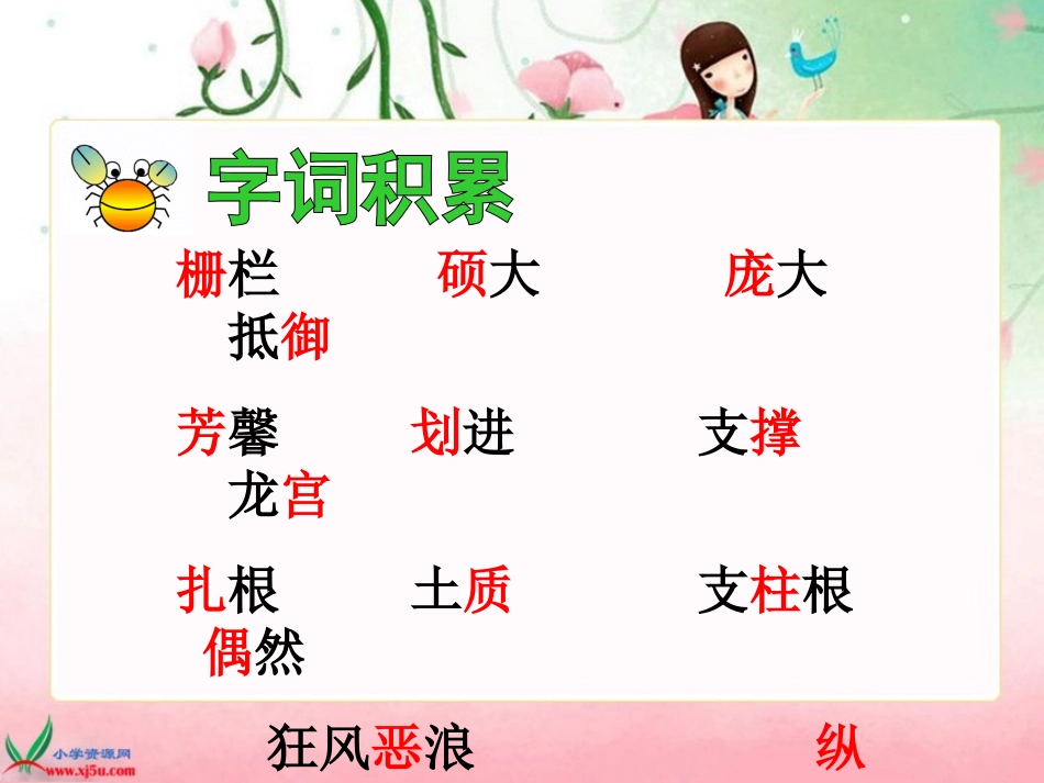 《红树林》PPT课件君丽_第3页