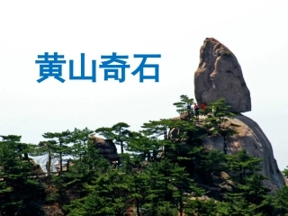 《黄山奇石》课件1