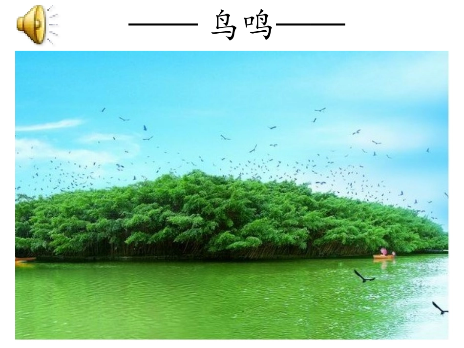 《鸟的天堂》课件_第1页