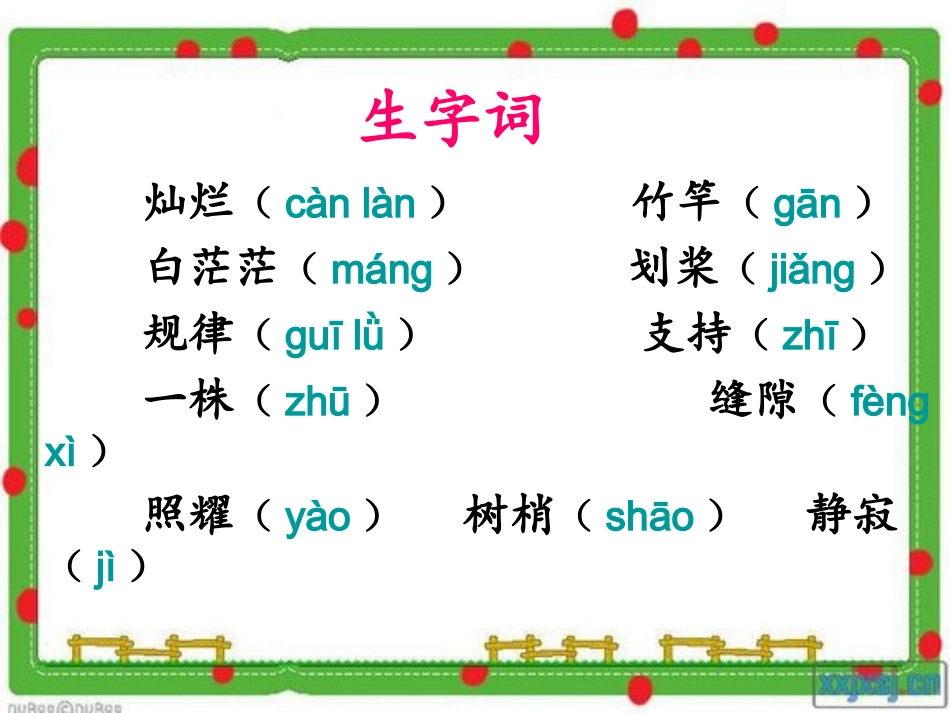 《鸟的天堂》课件_第3页