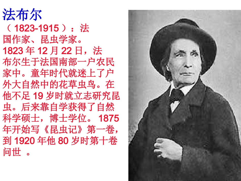 《绿色蝈蝈》课件1_第2页