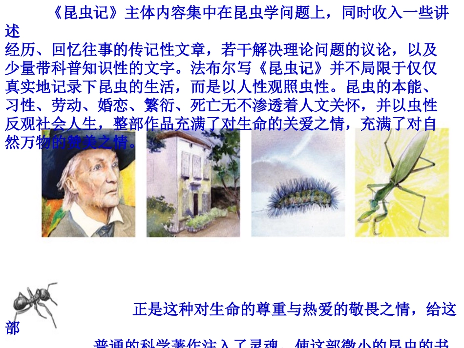 《绿色蝈蝈》课件1_第3页