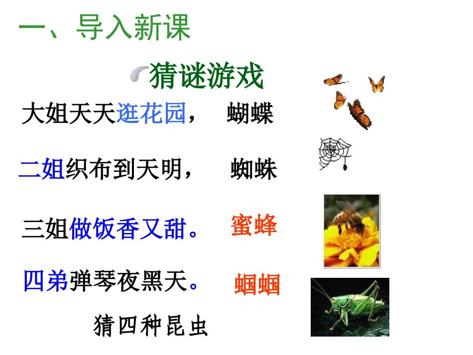 《绿色蝈蝈》上课定稿_第1页