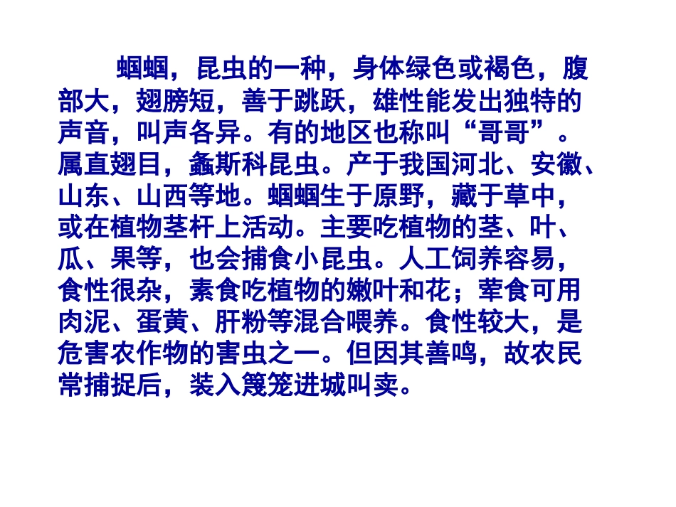 《绿色蝈蝈》上课定稿_第3页