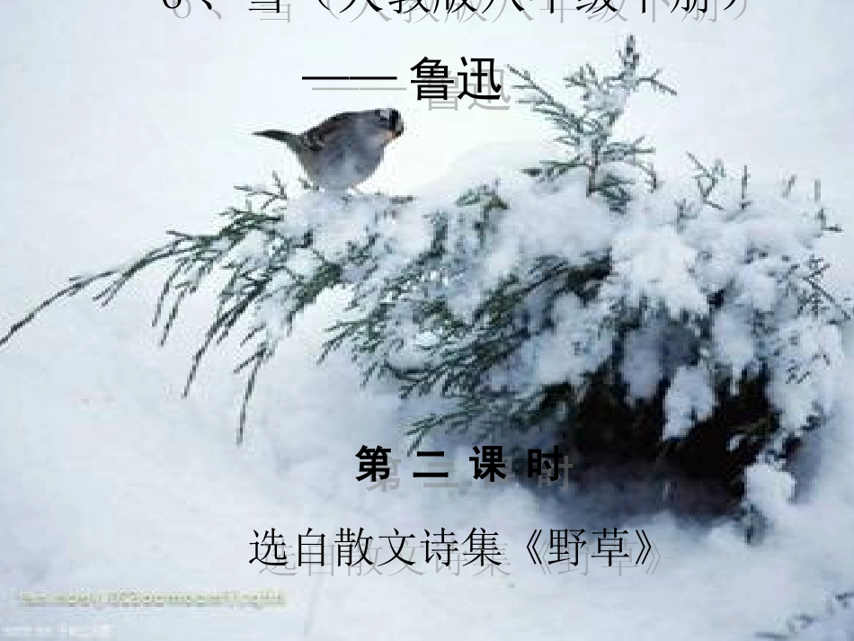 《雪》语文教学课件（人教版八年级下册）_第1页