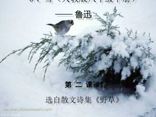 《雪》语文教学课件（人教版八年级下册）