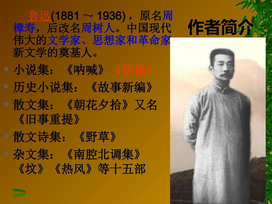 《祝福》课件_20121029110445088_729_第3页