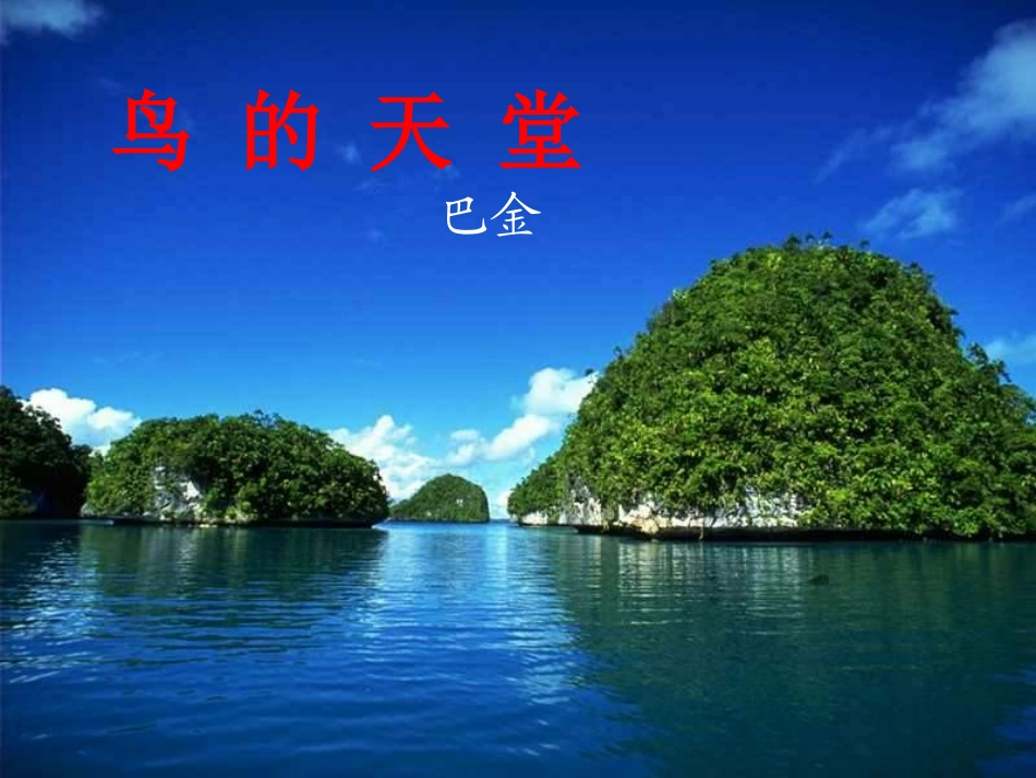 《鸟的天堂》教学课件2_第1页