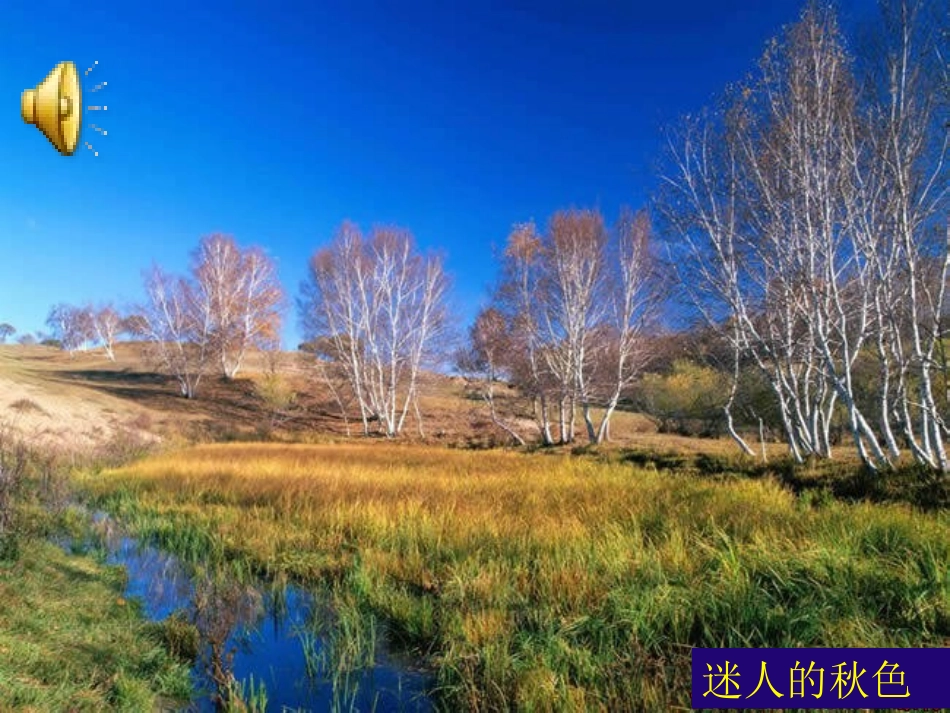 《秋天》教学课件33601_第1页