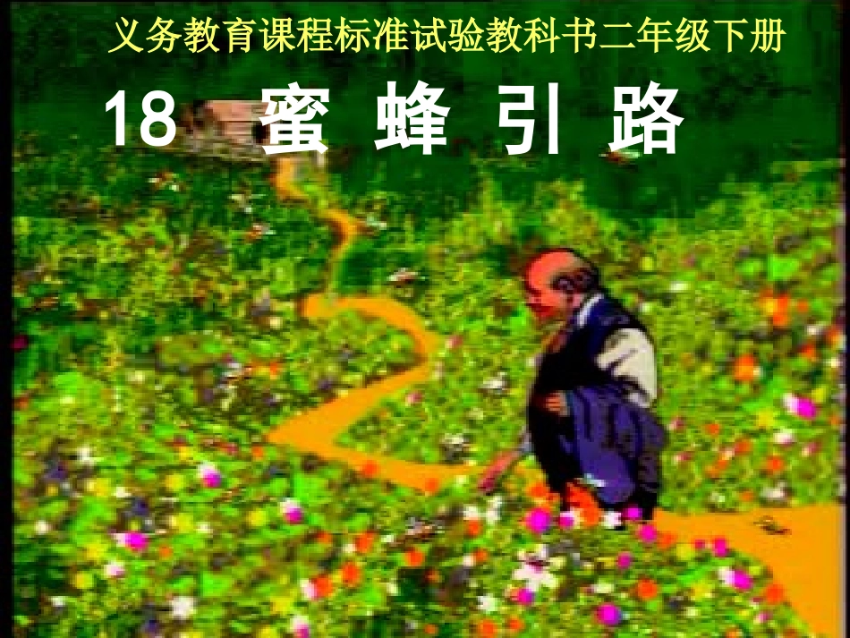 《蜜蜂引路》课件2_第1页