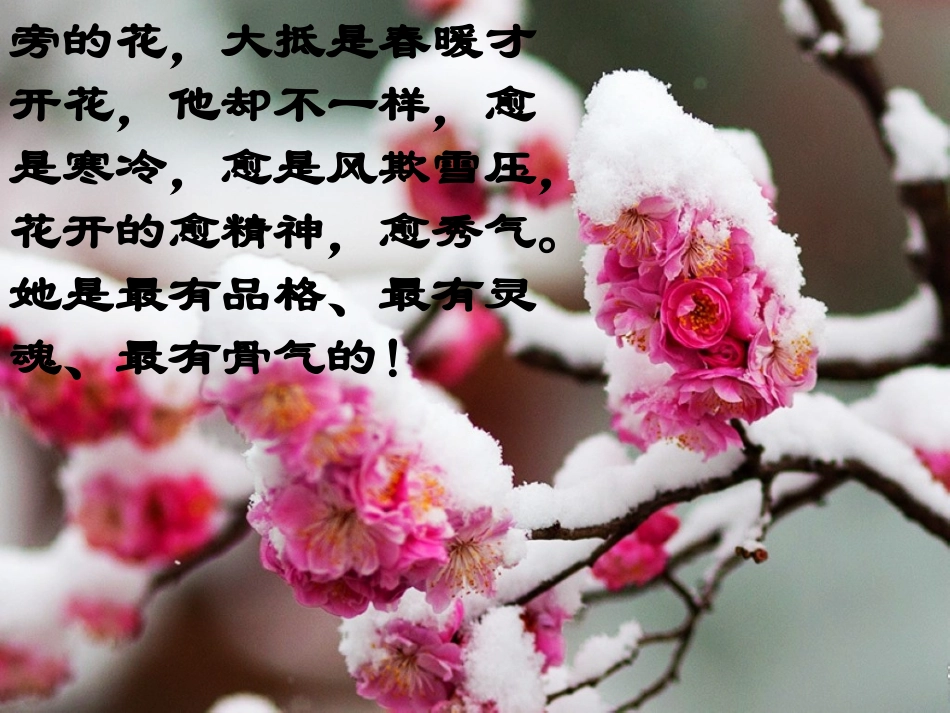 《落花生》 (2)_第2页