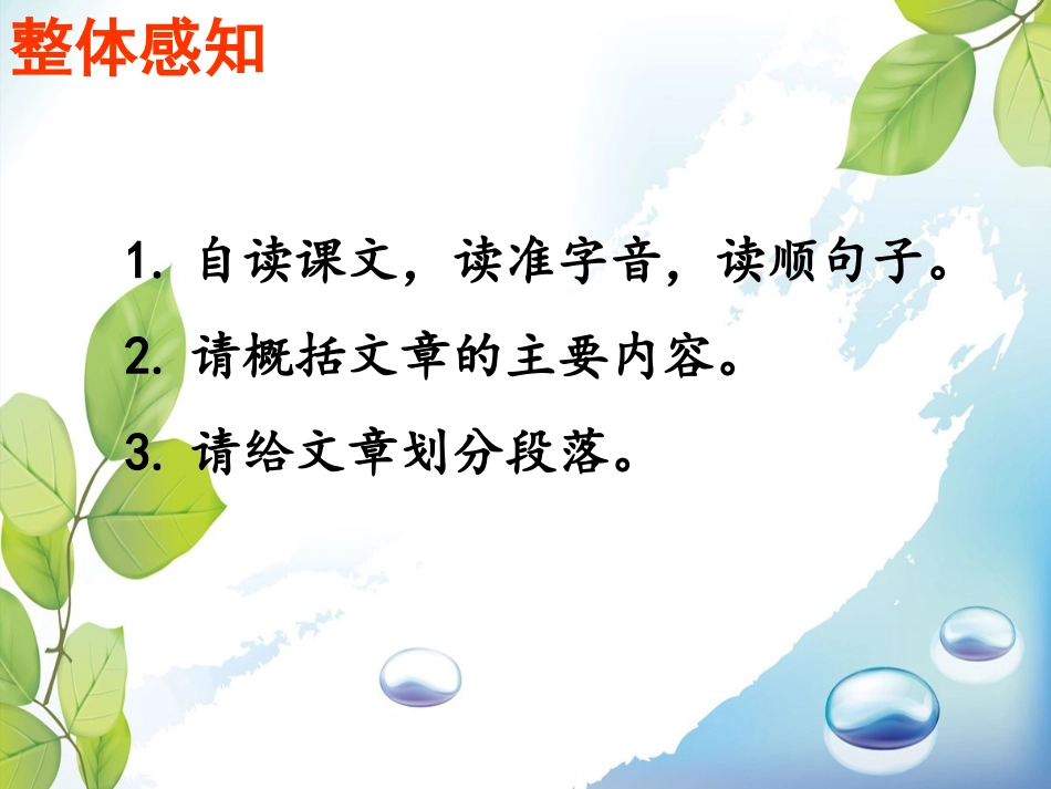 《鸟的天堂》课件6_第3页