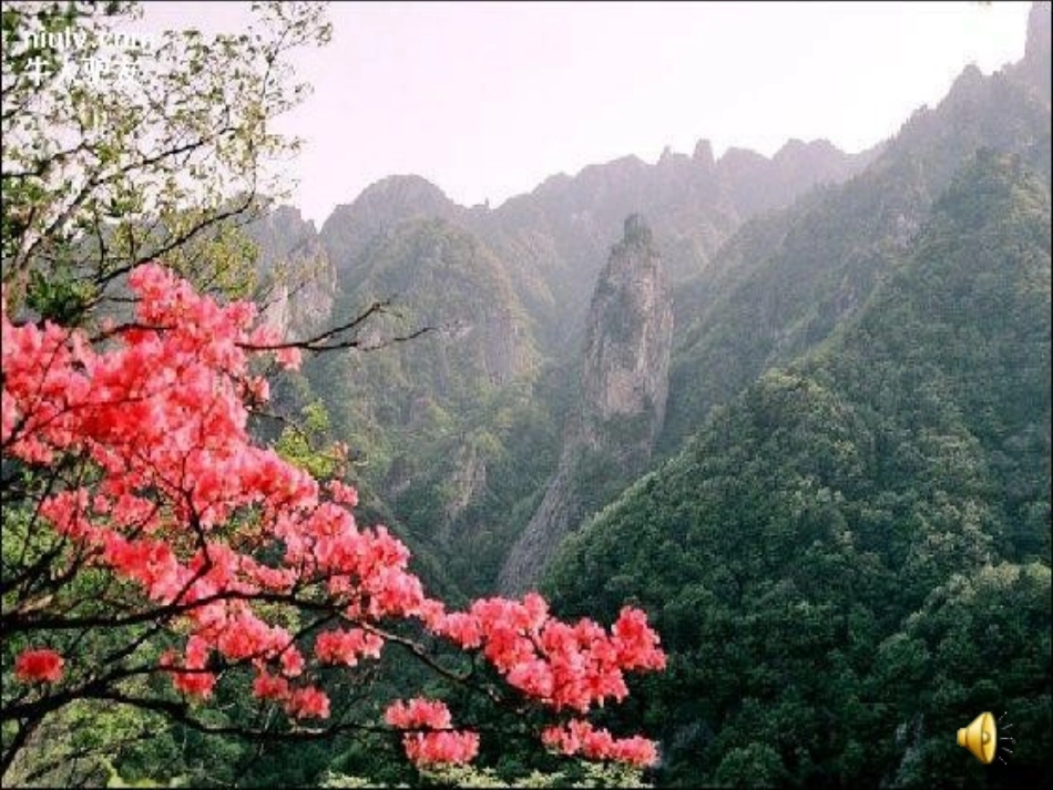 【一年级语文】苏教版一下_识字1模版课件 (2)_第1页