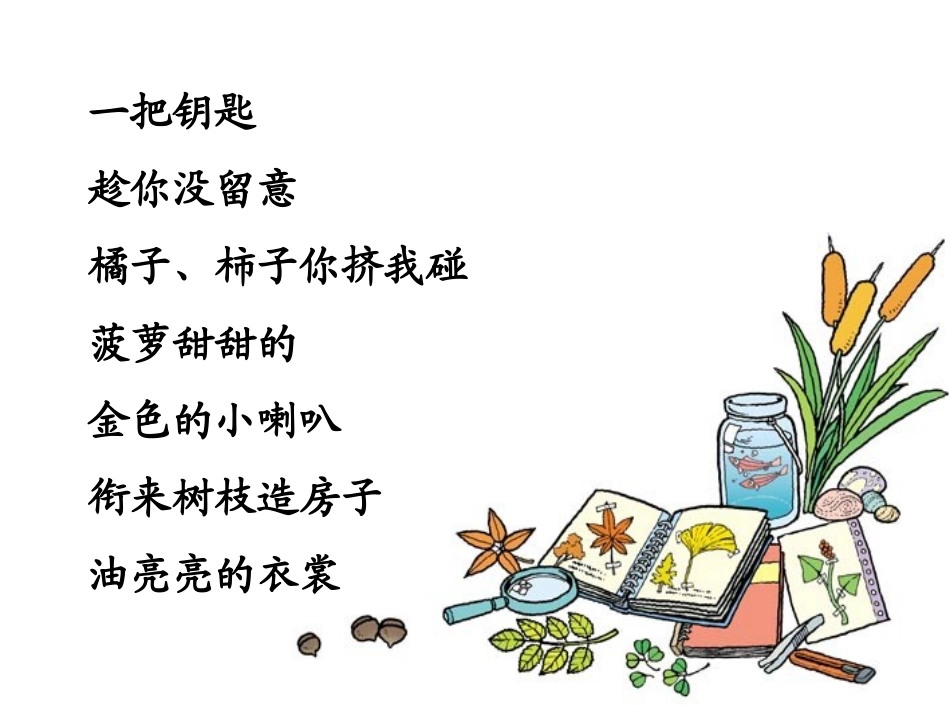 《秋天的雨》课件(4)_第3页