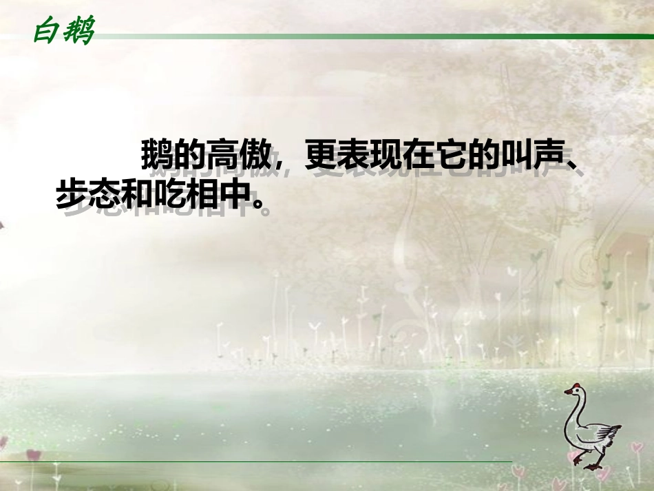 《白鹅》PPT课件 (5)_第3页
