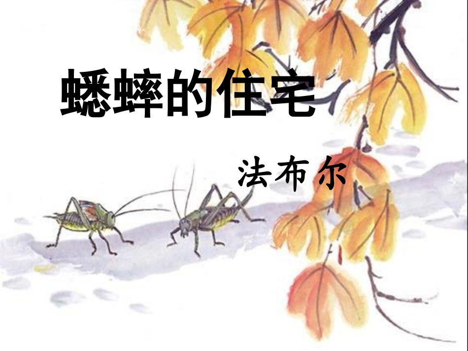 《蟋蟀的住宅》课件5_第1页
