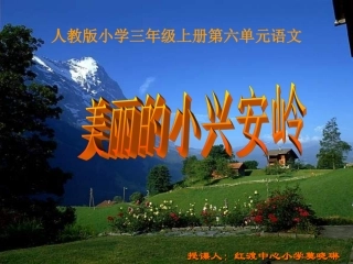 《美丽的小兴安岭》--生字词学习课件PPT