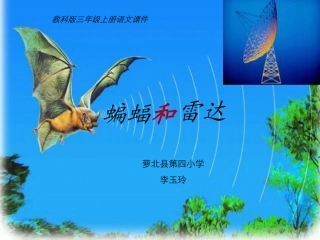 《蝙蝠和雷达》课件 (2)