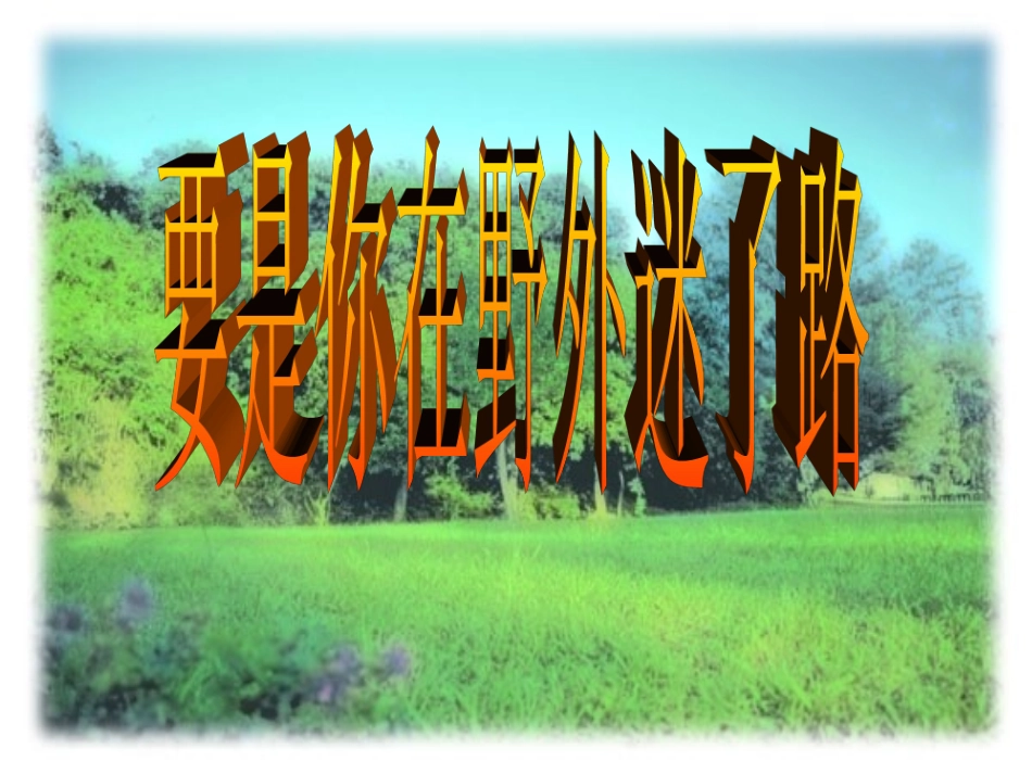 《要是你在野外迷了路》教学课件16_第3页