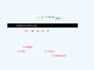 《金版》2011高三生物总复习 第二章 3、4节遗传信息的携带者—核酸　细胞中的糖类和脂质课件 苏教版