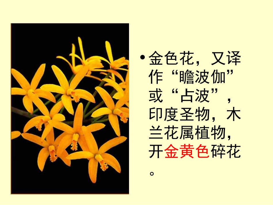《金色花》 (3)_第3页