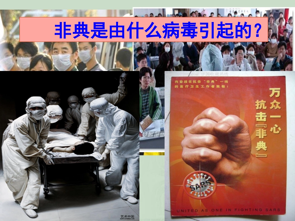 【生物】11从生物圈到细胞课件2（人教版必修1）_第2页