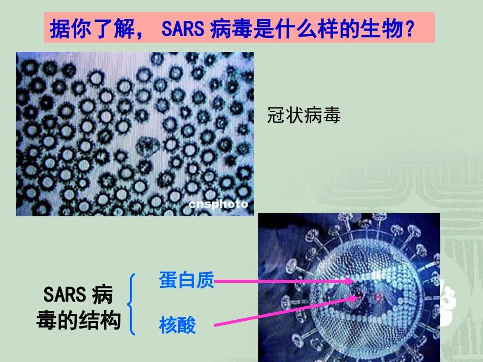 【生物】11从生物圈到细胞课件2（人教版必修1）_第3页