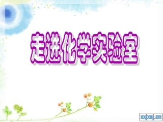 《走进化学实验室》课件