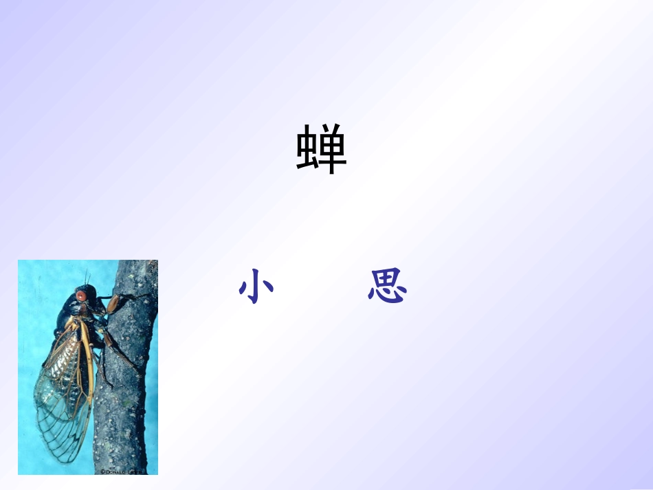 《短文两篇·蝉》_第2页