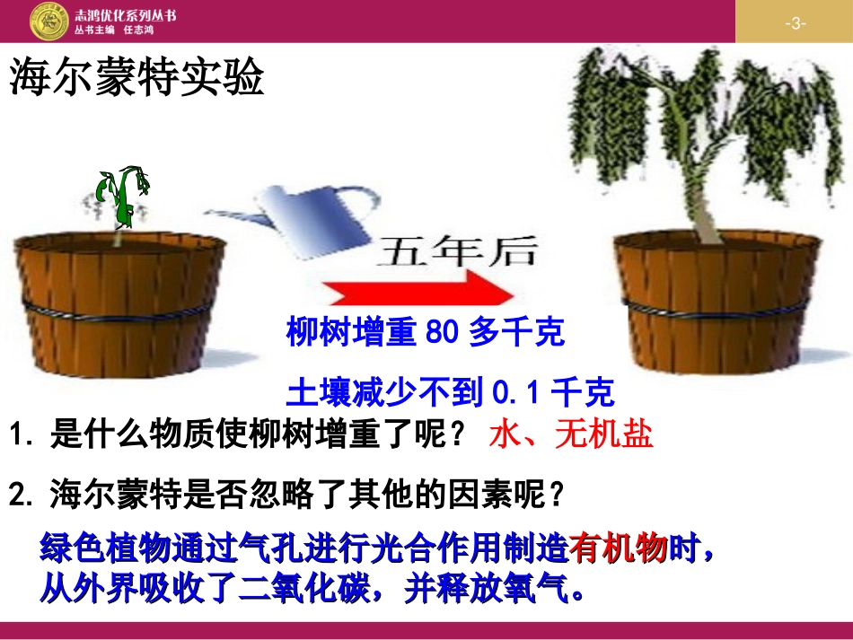 《第一节光合作用吸收二氧化碳释放氧气》课件1_第3页