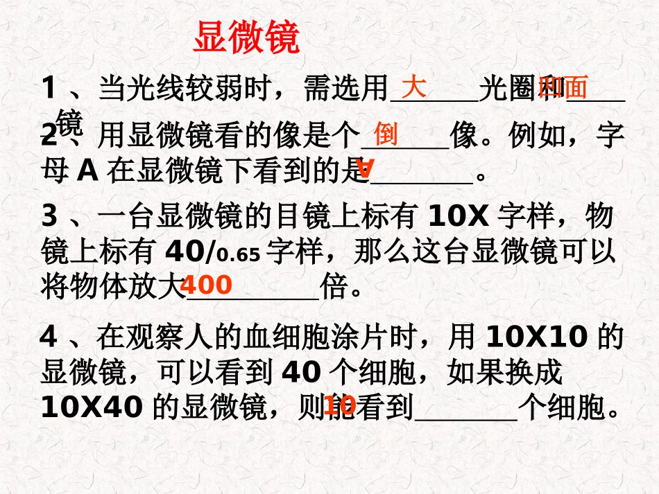 《观察植物细胞PPT课件》_第1页