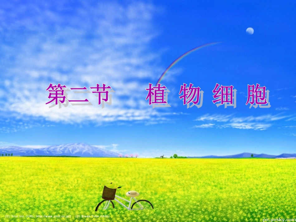 《观察植物细胞PPT课件》_第2页