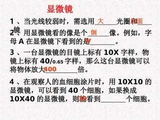 《观察植物细胞PPT课件》