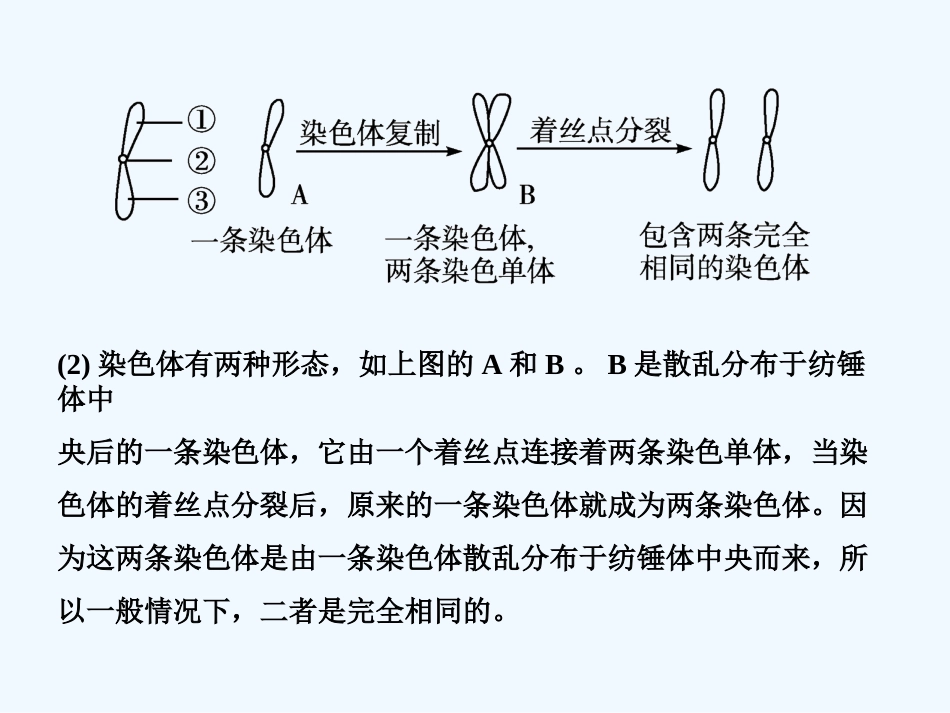 【创新设计】2011届高考生物一轮复习 第5章单元综合提升 细胞增殖、分化、衰老和凋亡课件 苏教版必修1 _第2页
