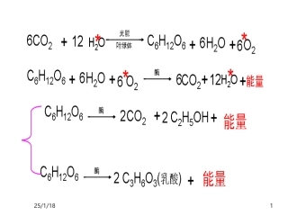 【PPT】细胞的增殖