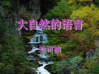 【精品课件】《大自然的语言》（共29张PPT）