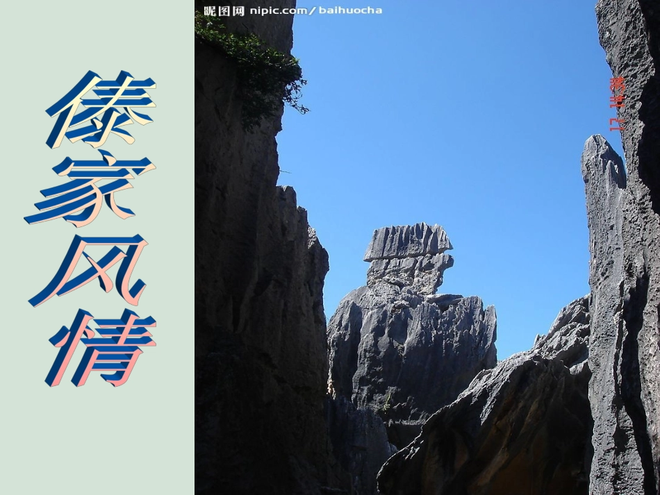 《金孔雀轻轻跳》课件_第3页