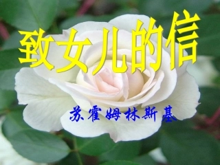 《致女儿的信》PPT