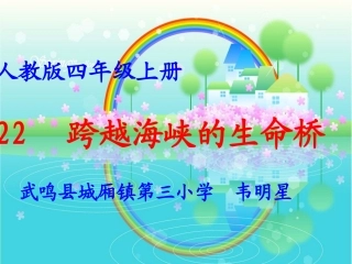 《跨越海峡的生命桥》正式课件-韦明星