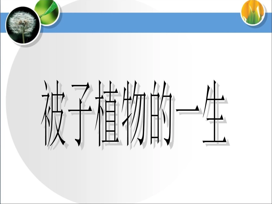 《被子植物的一生》参考课件_第2页