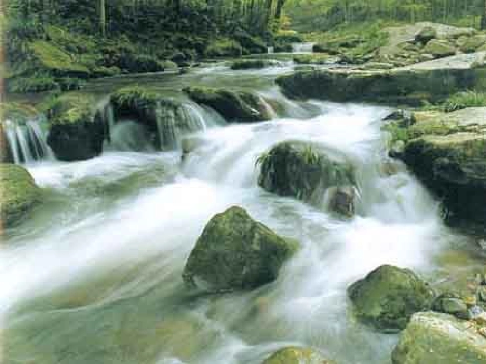 《索溪峪的“野”》水演示文稿_第2页