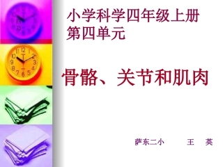 《骨骼关节和肌肉》