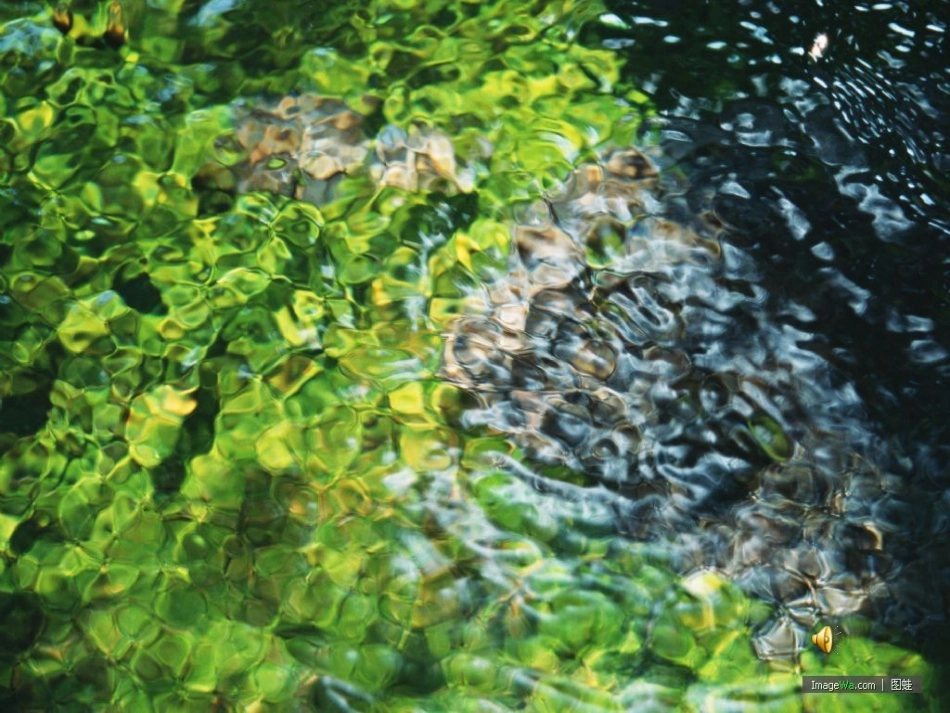 《珍珠泉》教学课件_第3页