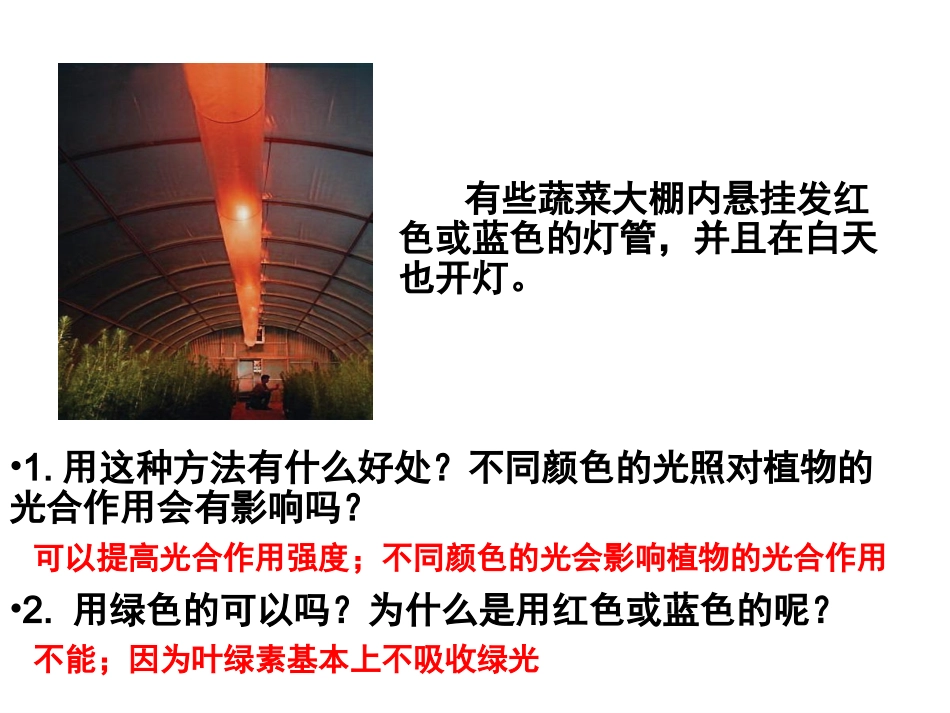 《能量之源——光与光合作用》4_第2页