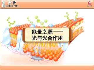 《能量之源——光与光合作用》4