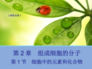 【生物】21细胞中的元素和化合物课件1（人教版必修1）
