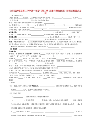 山东省武城县第二中学高一化学《第二章 元素与物质世界》知识点易错点总结