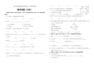 湖北省麻城博达学校高三4月质量检测(文科)