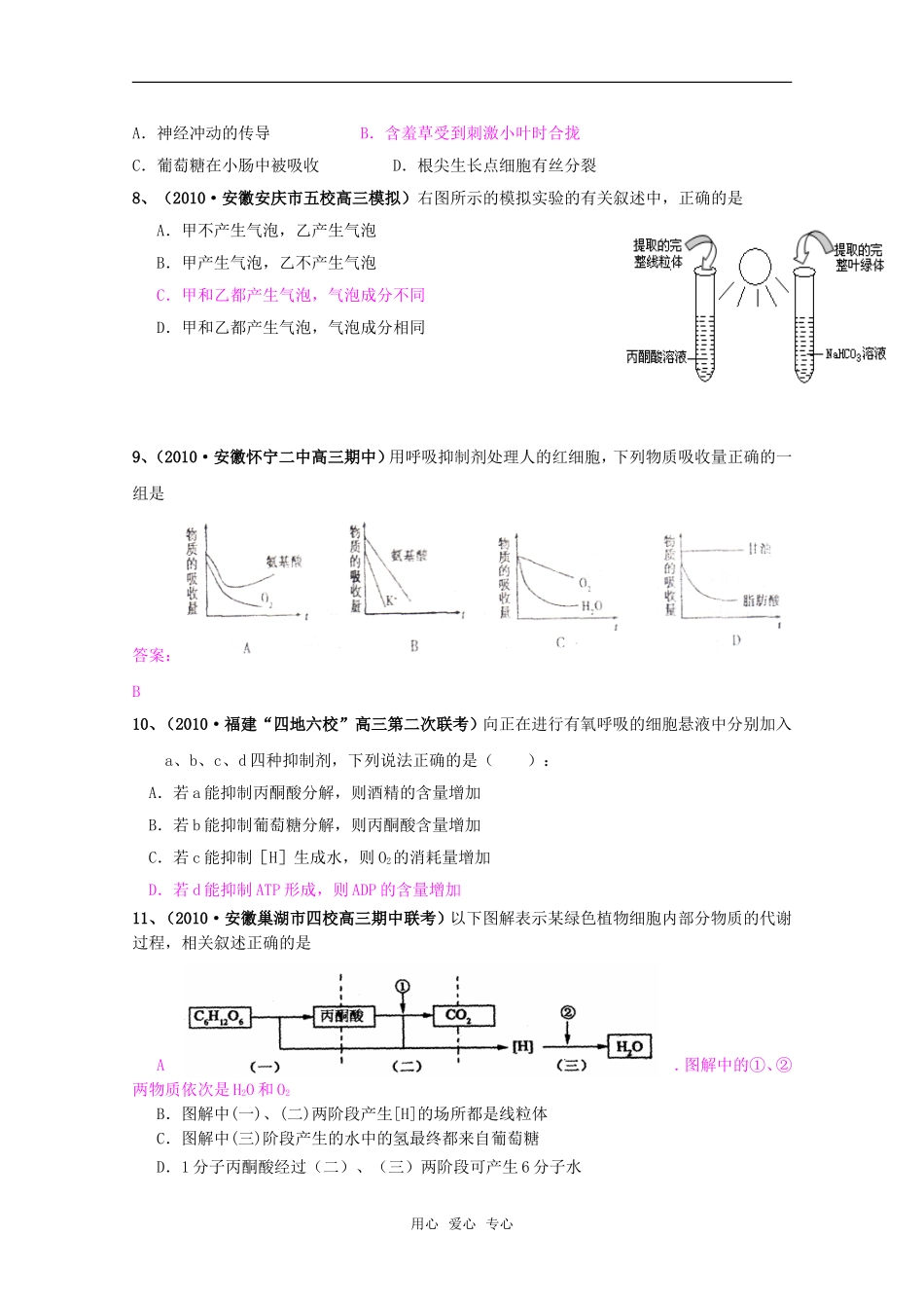 高中生物：细胞的能量供应和利用（2）（专题复习）（安徽适用）_第3页