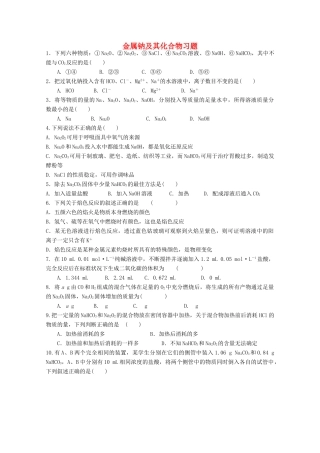 高中化学 金属钠及其化合物习题 新人教版必修1-新人教版高一必修1化学试题
